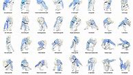 Image result for Karate Moves Chart