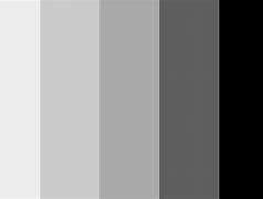 Image result for Thème Color Palette