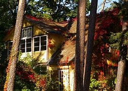 Image result for Yellow House Wallpaper