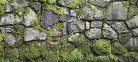 Image result for Mossy Stone Wall Texture
