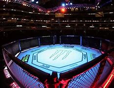 Image result for UFC Octagon