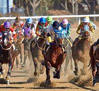 Image result for Horse Racing Movies