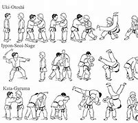 Image result for Jiu Jitsu Techniques