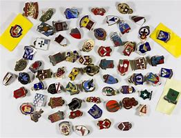 Image result for Insignia Pins