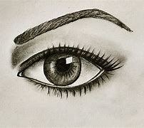 Image result for Pencil Drawings for Beginners