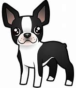 Image result for Boston Terrier Pills Meme