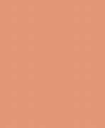 Image result for Sherwin-Williams Paint Colors Online 6340 Baked Clay