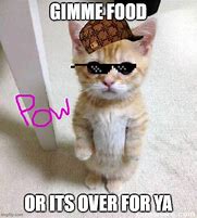 Image result for Gimme Food Meme