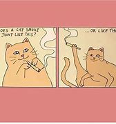 Image result for Smoke Weed Meme Cat