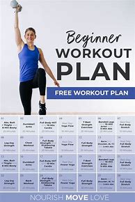 Image result for Beginner Workout Plan