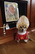 Image result for Awesome Pope Meme