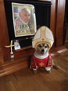 Image result for Pope Funny Hat