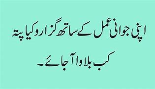 Image result for Maulana Room Quotes in Urdu