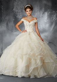Image result for Champagne Quinceanera Dresses