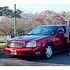 Image result for 2003 Cadillac DeVille Drivers Seatremovvl