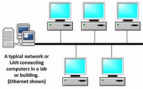 Image result for Client/Server Local Area Network