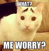 Image result for Why Worry Meme