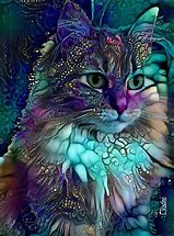 Image result for Crazy Cat Art