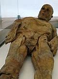 Image result for Mummies of Venzone Phenomenon
