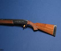 Image result for Remington 1100 12 Gauge