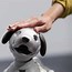 Image result for Aibo Robot Dog Attachments