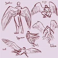 Image result for Winged Human Poses