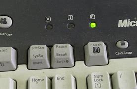 Image result for Function Lock Button