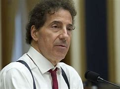 Image result for Rep Raskin