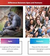 Image result for List of Upright Apes and Humans