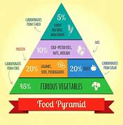 Image result for Vegan Food Pyramid Poster