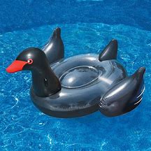 Image result for Black Swan Toys