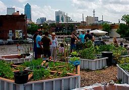 Image result for Farming Community Garden Co-op Market Urban