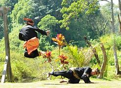 Image result for Pencak Silat Indonesia