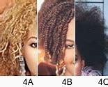 Image result for 2C Hair Type