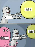 Image result for China Bats Meme