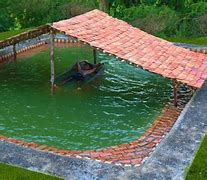 Image result for World's Biggest Swimming Pool