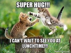 Image result for can t wait to see you memes cats