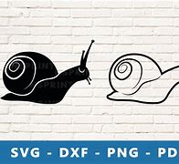 Image result for Snail Rolled Up SVG