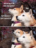 Image result for Google Dog Joke Memes