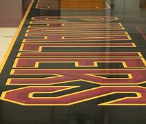 Image result for Cavaliers Court Design