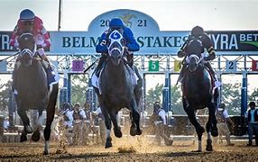 Image result for Belmont Stakes Contenders