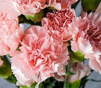 Image result for Happy Birthday Flowers Jan