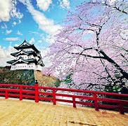 Image result for Cherry Blossom Japan Tourist Attractions