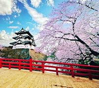 Image result for Sakura City Japan