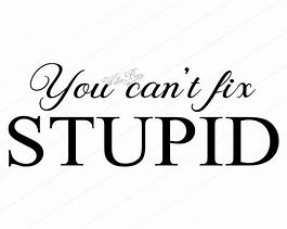 Image result for You Can't Fix Stupid SVG
