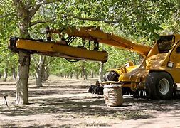 Image result for 3-Point Tree Shaker