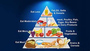 Image result for food pyramid