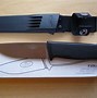 Image result for Fallkniven F1 Micro Bevel