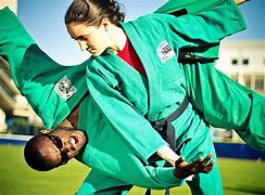 Image result for The Best Martial Arts in the World