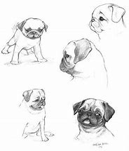 Image result for Pug Dog Art Paintings